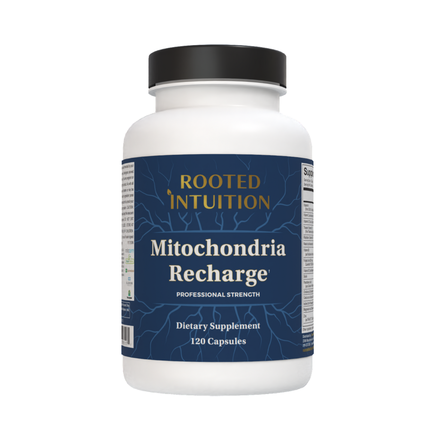 Mitochondria Recharge