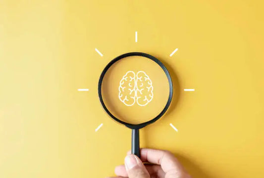 Best Brain Supplements for Adults: Enhancing Cognitive Function