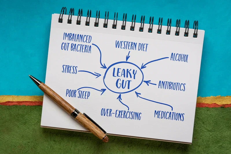 10 Symptoms of Leaky Gut Syndrome