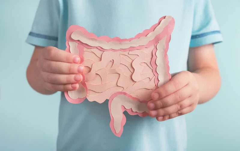 5 Best Probiotics for Gut Health