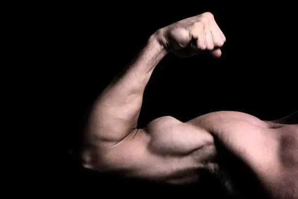 Supplements for Muscle Growth: What to Take for Strength