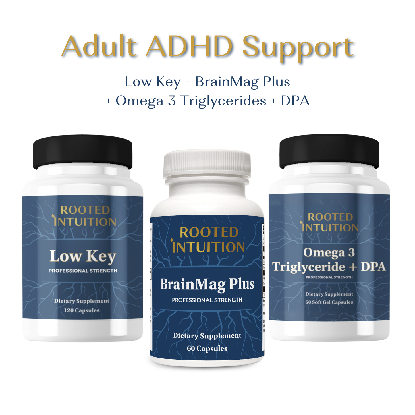 Adult ADHD Support Bundle