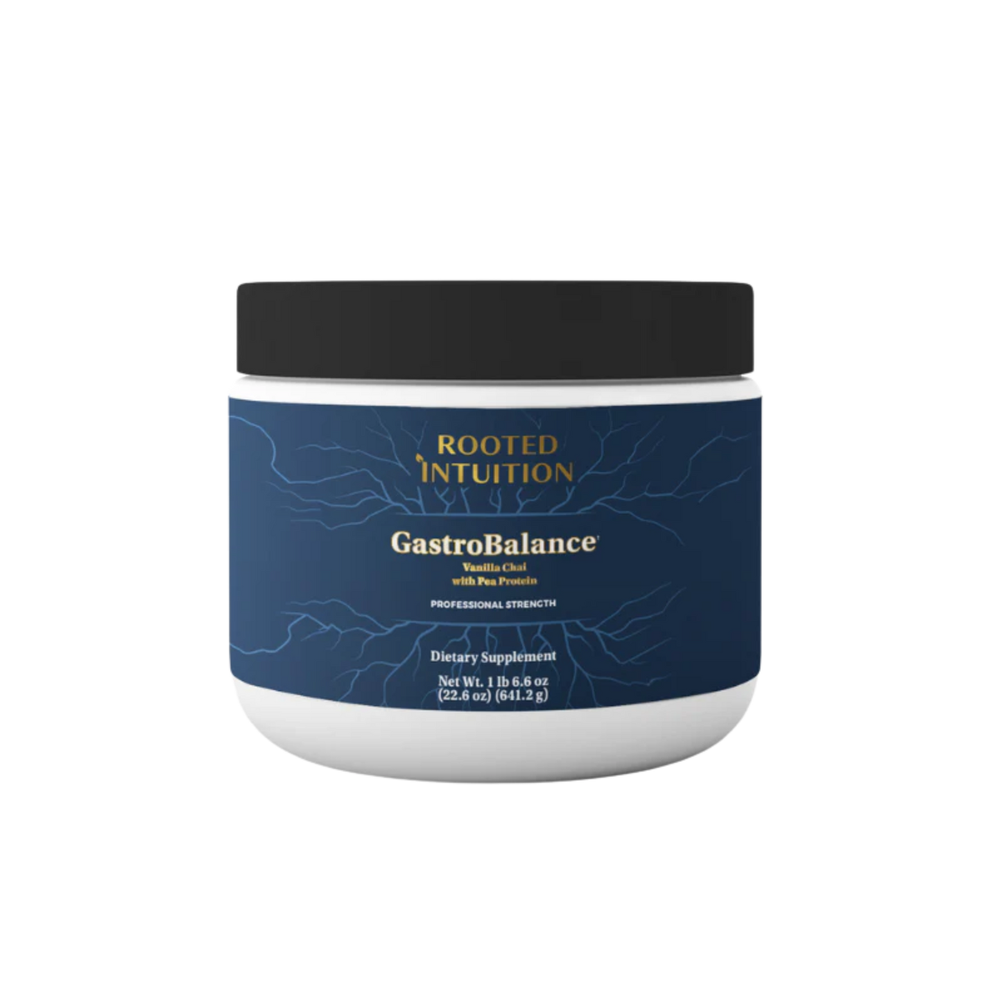 GastroBalance - Vanilla Chai Protein Blend