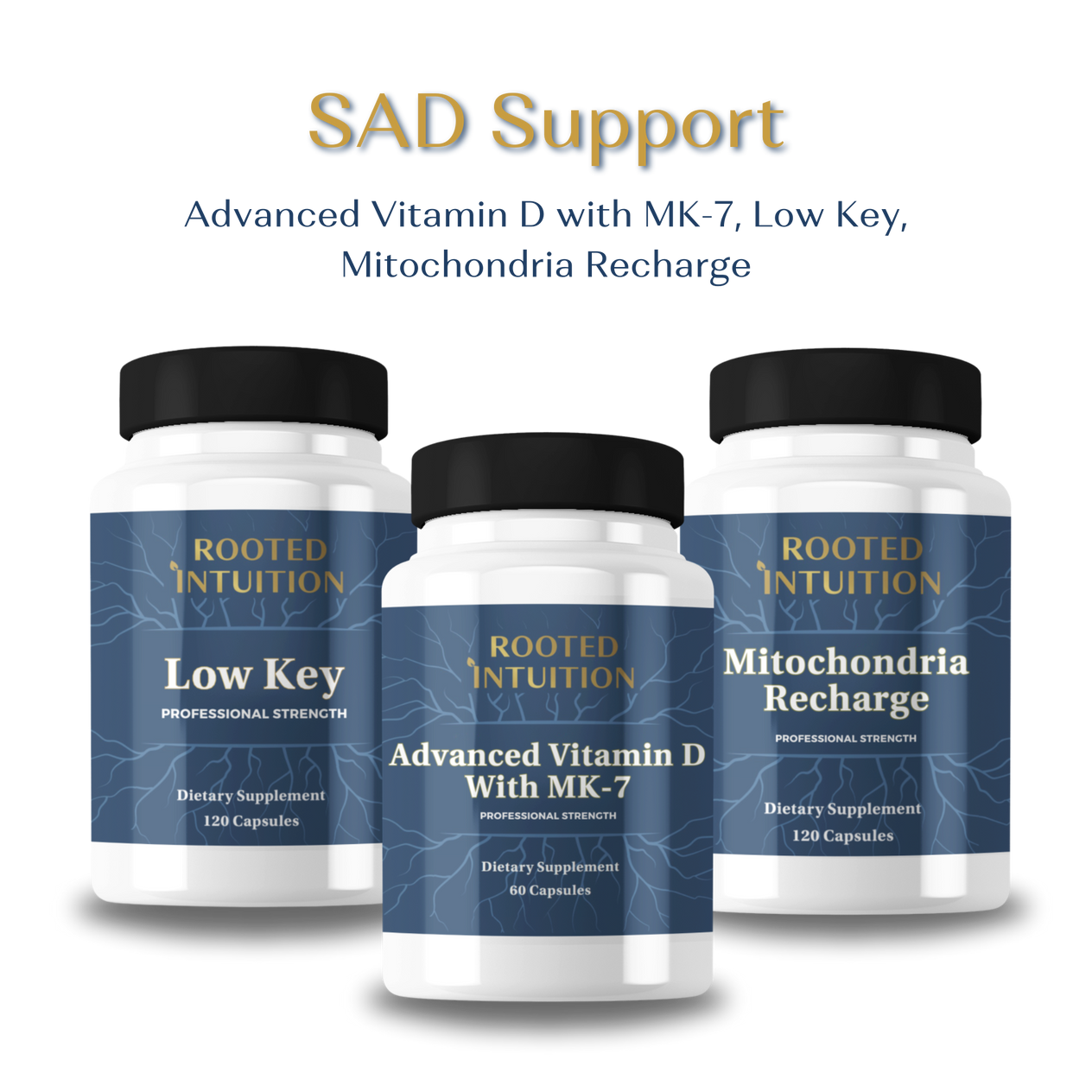 Seasonal Affective Disorder Support Bundle