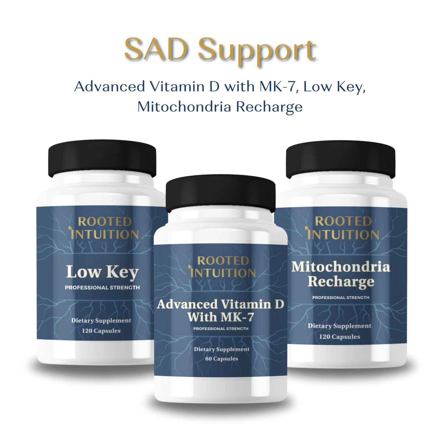 Seasonal Affective Disorder Support Bundle