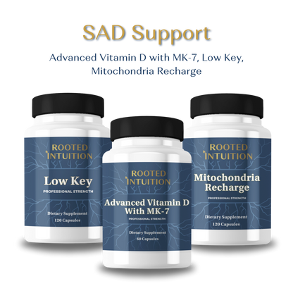 Seasonal Affective Disorder Support Bundle