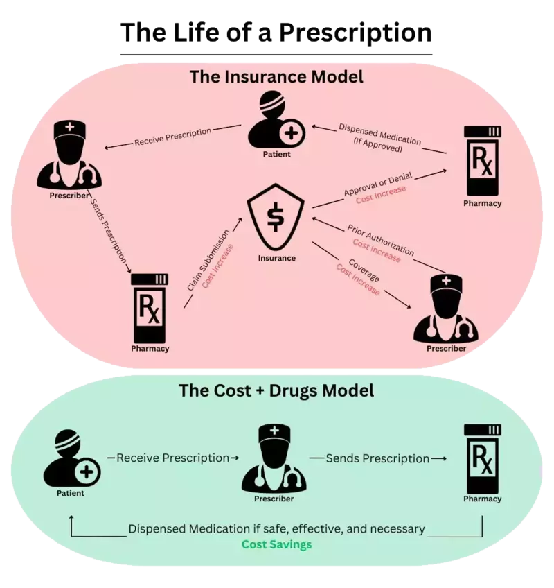 The Life of a Prescription Model